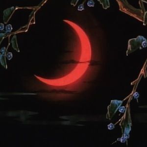 Meet your Posher, Elena